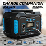 DieHard Portable Power Station 300W